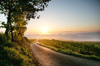 Wine Autumn in Traisental, © Niederösterreich-Werbung/Doris Schwarz-König