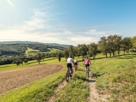 MTB Wienerwald, &copy; Wienerwald Tourismus GmbH / Christoph Kerschbaum