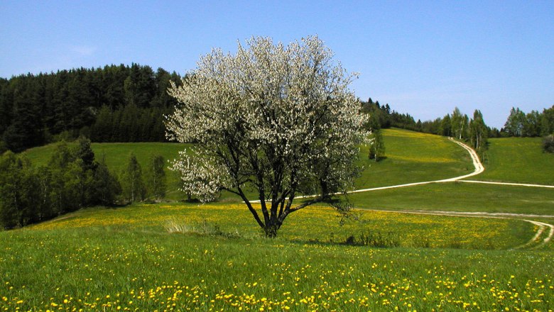 Waldviertel highlands, &copy; Familie Einfalt