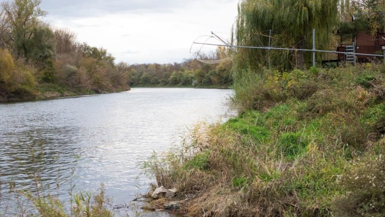 River landscape with trees and green banks.