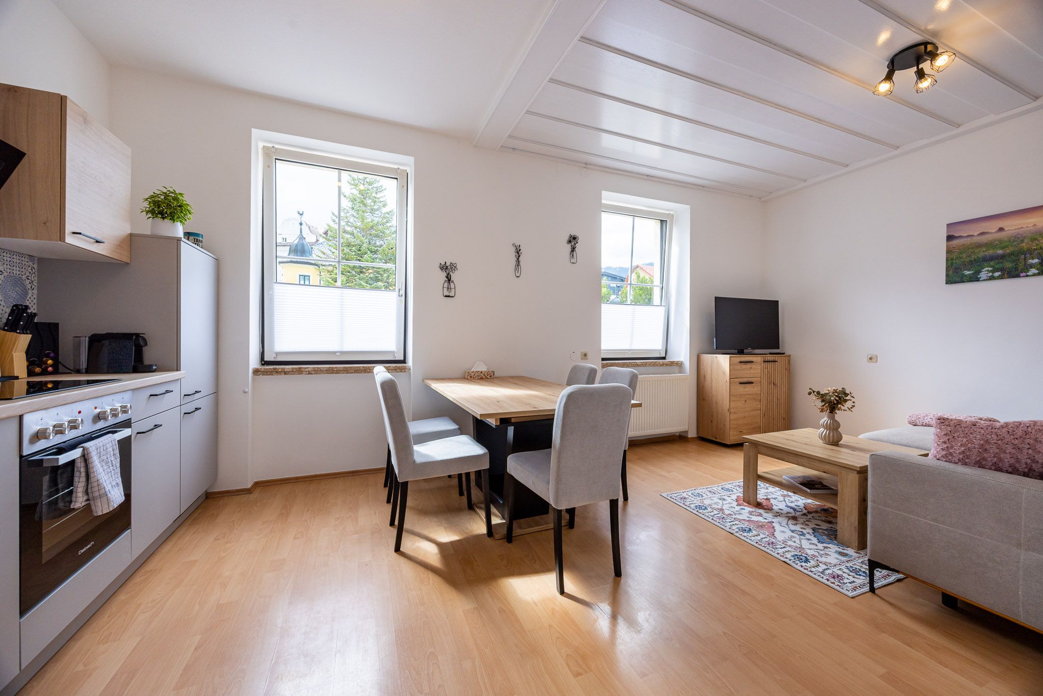 Apartment Stadtblick Fred Lindmoser (2)