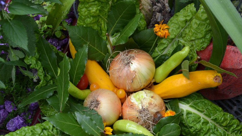 Various vegetables and salad leaves arranged in a basket.