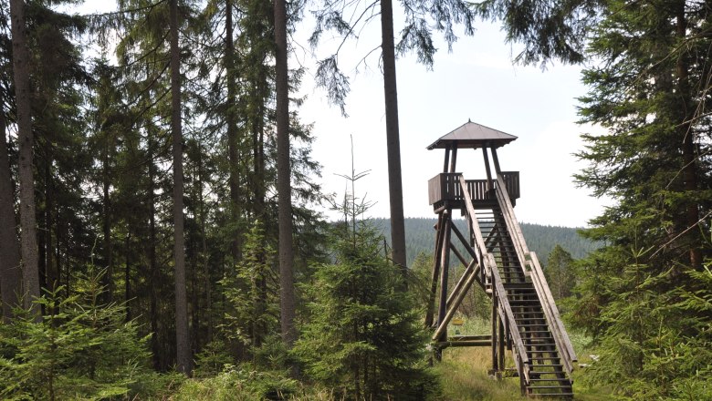 High moor Gro&szlig;e Haide observation tower, &copy; Reinhard Nieder