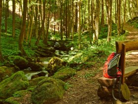 Steinbachklamm zwischen Marbach und Maria Taferl, &copy; Donau Nieder&ouml;sterreich / Klaus Engelmayer