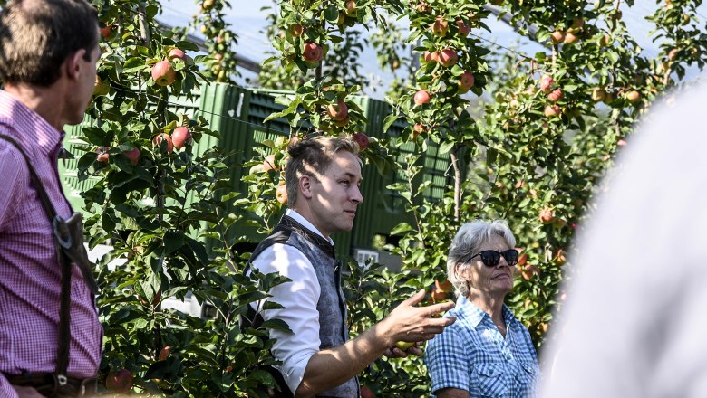 People in an orchard with apple trees, one person is gesticulating.