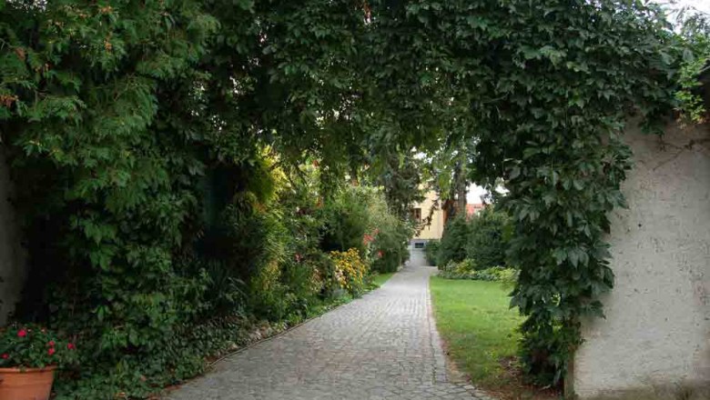 Garden path with plant arch and cobblestones.