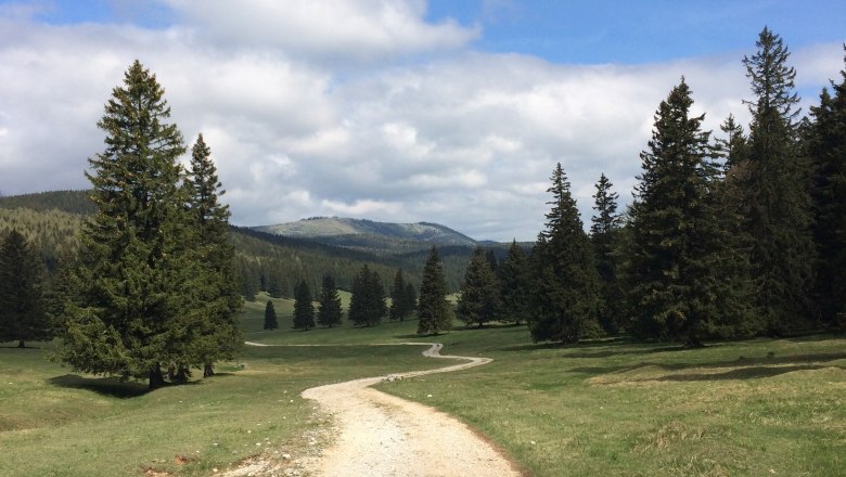 A hiking trail winds through a green landscape with trees and mountains in the background under a blue sky with clouds.