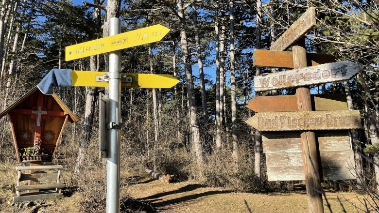 Signpost in the forest with a chapel in the background.