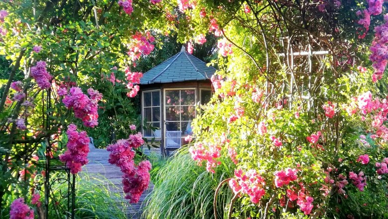 A garden with blooming pink flowers and a pavilion in the background.