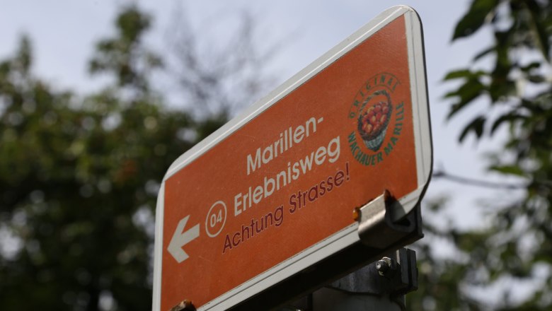 An orange sign with the words 'Marillen-Erlebnisweg' and an arrow pointing left. It warns of a road.