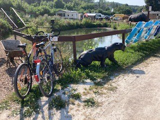 seacamping-bikes-with-sea, &copy; Wienerwald Tourismus