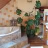 Bathroom with corner bath, washbasin and large plant.