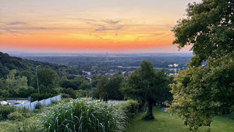 Sunset over Hainburg an der Donau from the garden of Chalet Auenblick with yellow flowers and a small pond in the foreground.