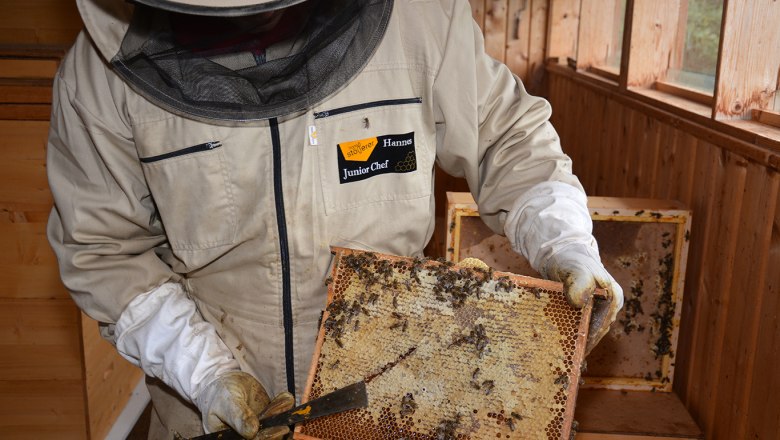 Beekeeper in protective clothing holds a honeycomb with bees.