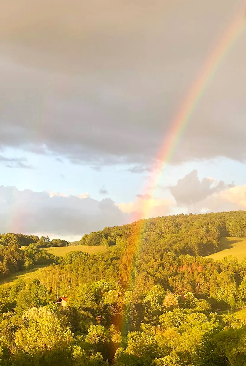 Vienna Woods landscape with sunlight 