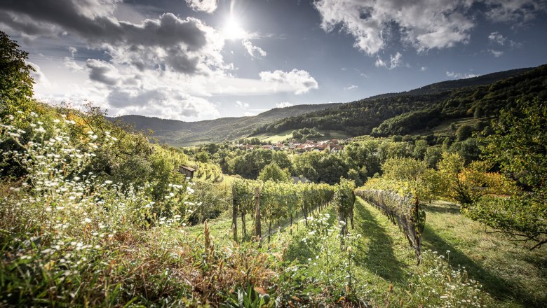 Riedenblick Apartments exterior view, © Andreas Balon Fotografie, Altenberg b. Linz Riedenblick Apartments exterior view, © Andreas Balon Fotografie, Altenberg b. Linz