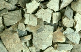 Food remains found during excavations: pieces of turtle shells, © Rudolf Gold