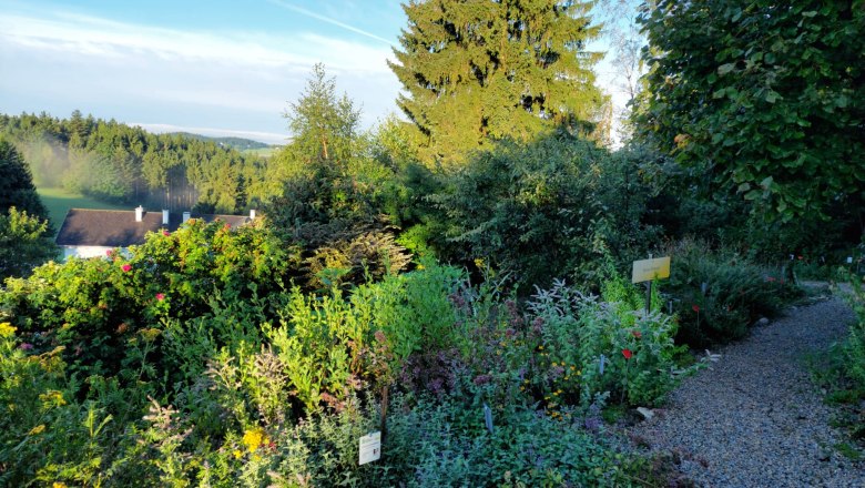 Herb garden Bad Traunstein, © Marktgemeinde Bad Traunstein