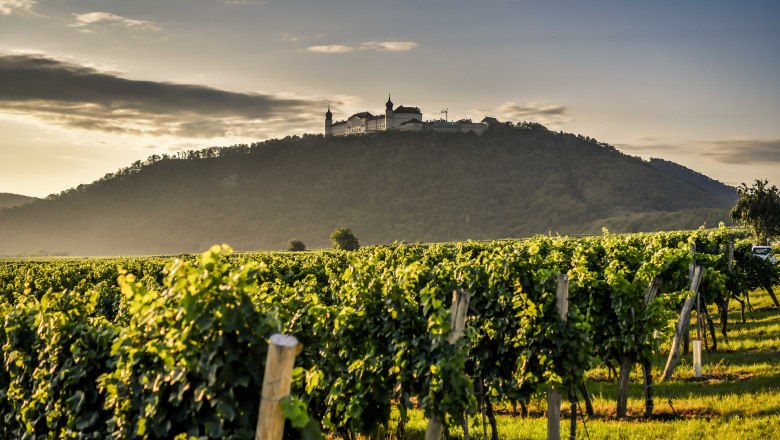 Göttweig Abbey surrounded by vineyards, © Robert Herbst Göttweig Abbey surrounded by vineyards, © Robert Herbst
