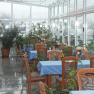 A winter garden with tables, blue tablecloths and lots of plants.