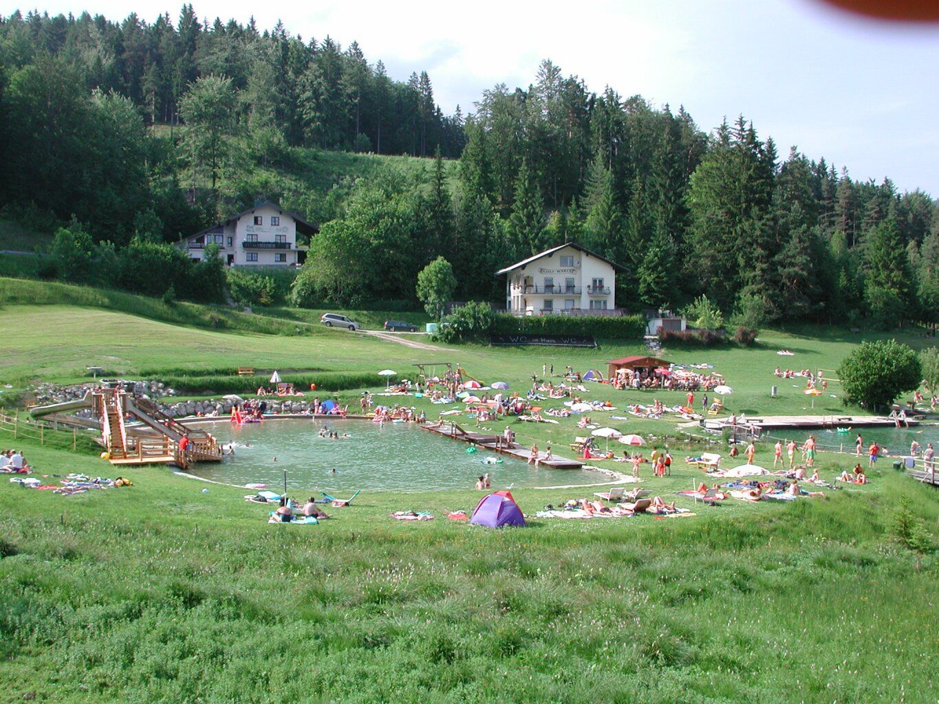 A lively natural swimming pond with lots of people, surrounded by green meadows and woods, with two buildings in the background.