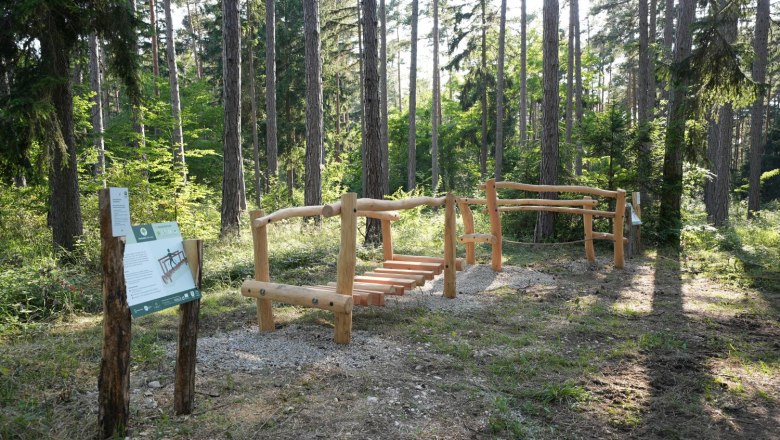 Wooden equipment in the forest with information board in the G&ouml;ttweig healing forest.