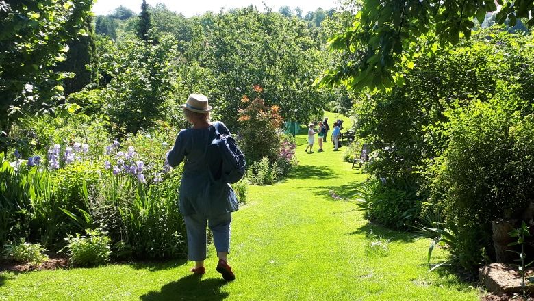 Person with a hat walks through a green garden with flowers and trees.