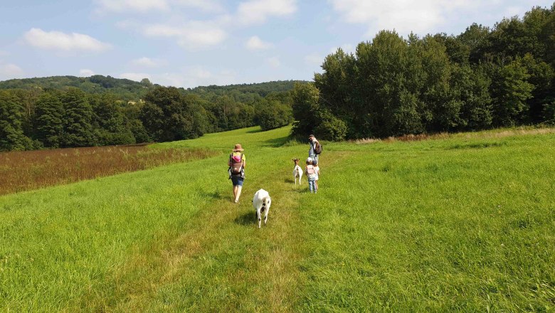Goat hike, © Verena Bubich