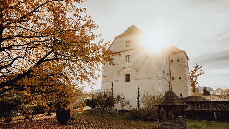 Autumn scene with historic building and tree in the sunlight.