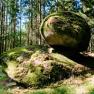 Unser Wald - ein Naturjuwel, © Biohof Hammerschmidt