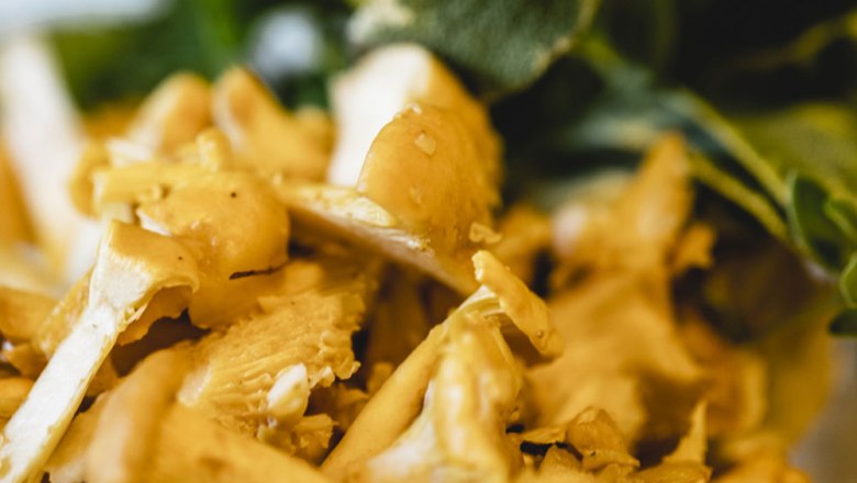 Close-up of fresh chanterelles with green leaves in the background.