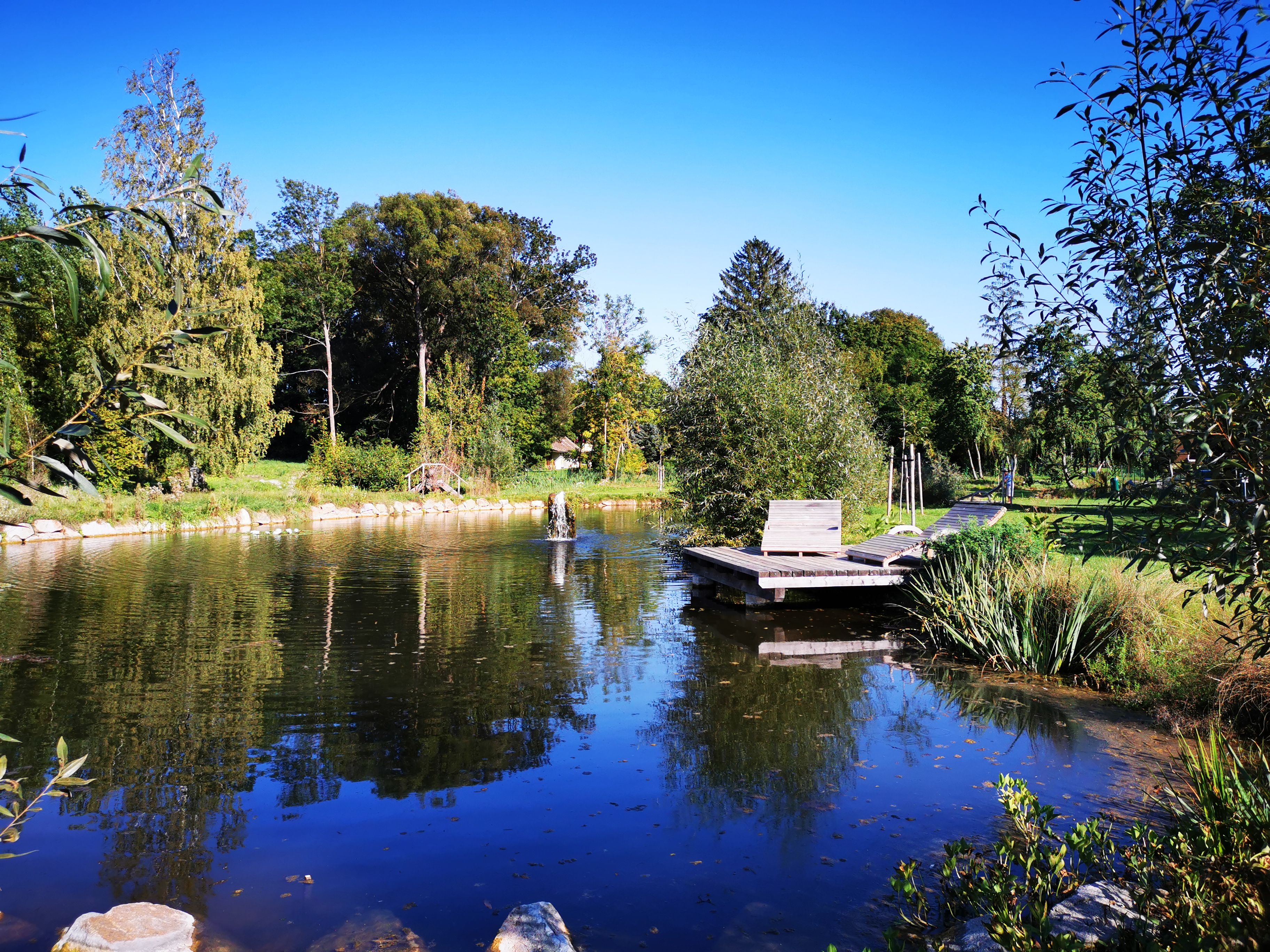 A tranquil pond with wooden loungers and lush vegetation under a blue sky.