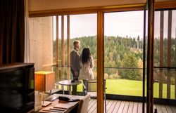 Hotel Schwarz Alm Zwettl with natural pond and sun loungers, surrounded by green countryside.