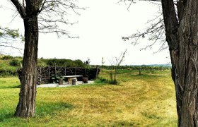 Landscape with trees, wooden table and benches, surrounded by meadows and vines.