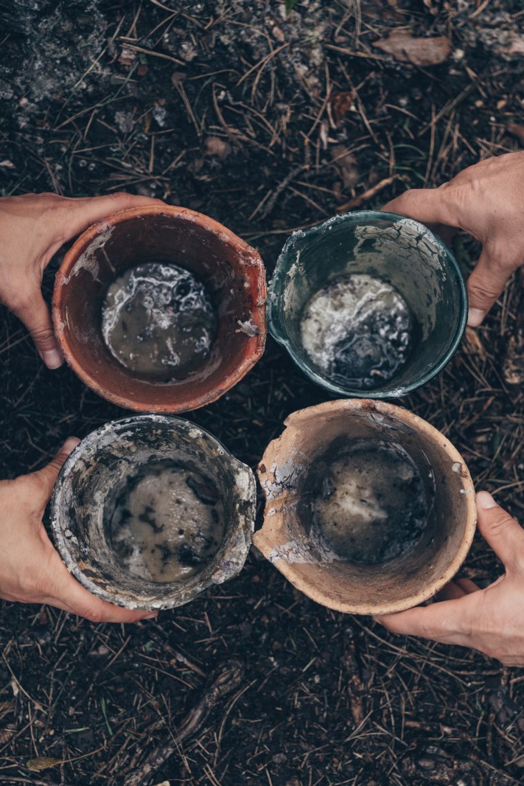 Resin cups serve as collecting containers for the pitch, © Niederösterreich Werbung/ Ian Ehm