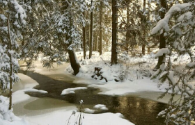 Fishing at the Wachtelhof, © Astrid Hanke-Aberer
