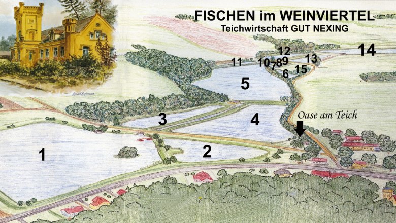 Illustration of a pond plan with numbered areas and a building in the Weinviertel.
