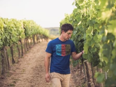 Stefan Hagmann in the vineyard