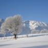Snowy landscape with Schneeberg in the background