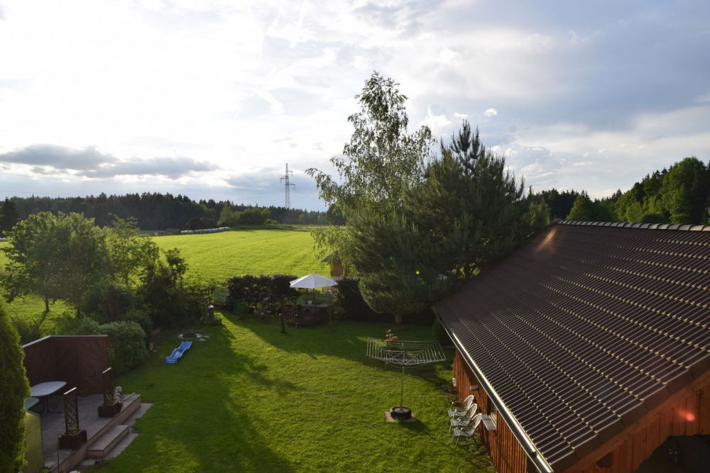 A garden with a lawn, trees, and a wooden house on a sunny day.