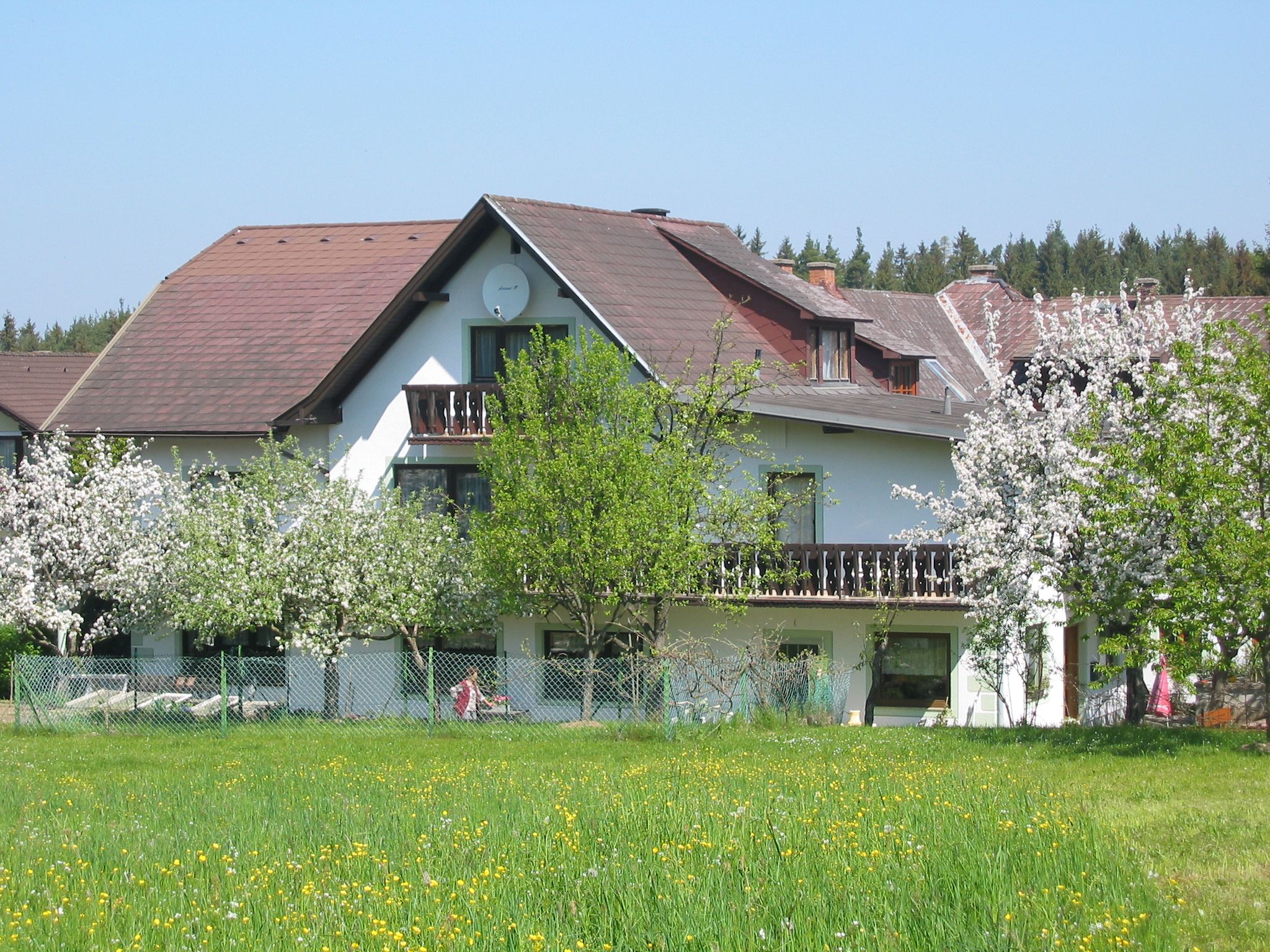 A white house with a brown roof, surrounded by blossoming trees and a green meadow.