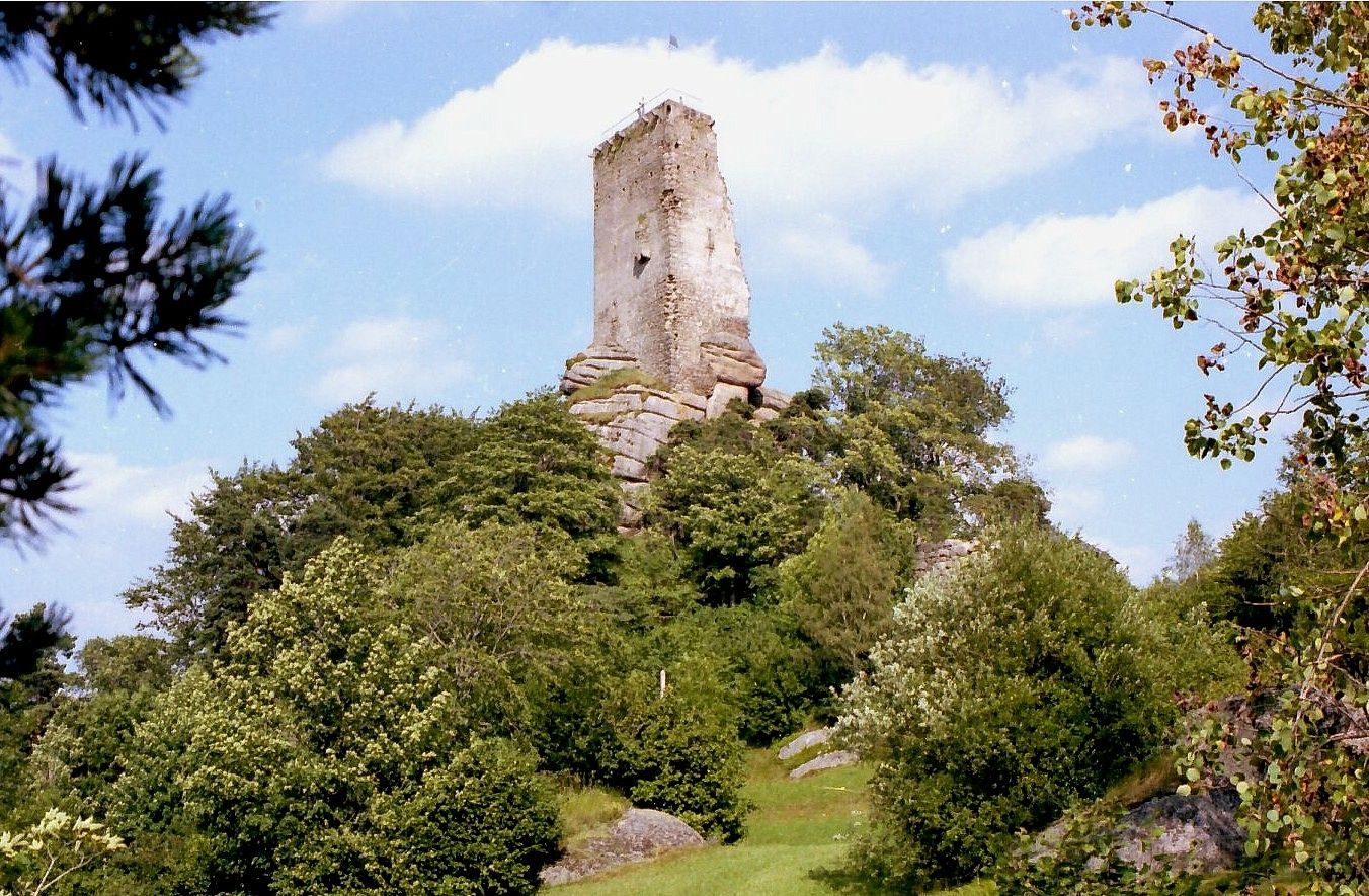 Arbesbach ruins on a wooded hill under a blue sky.