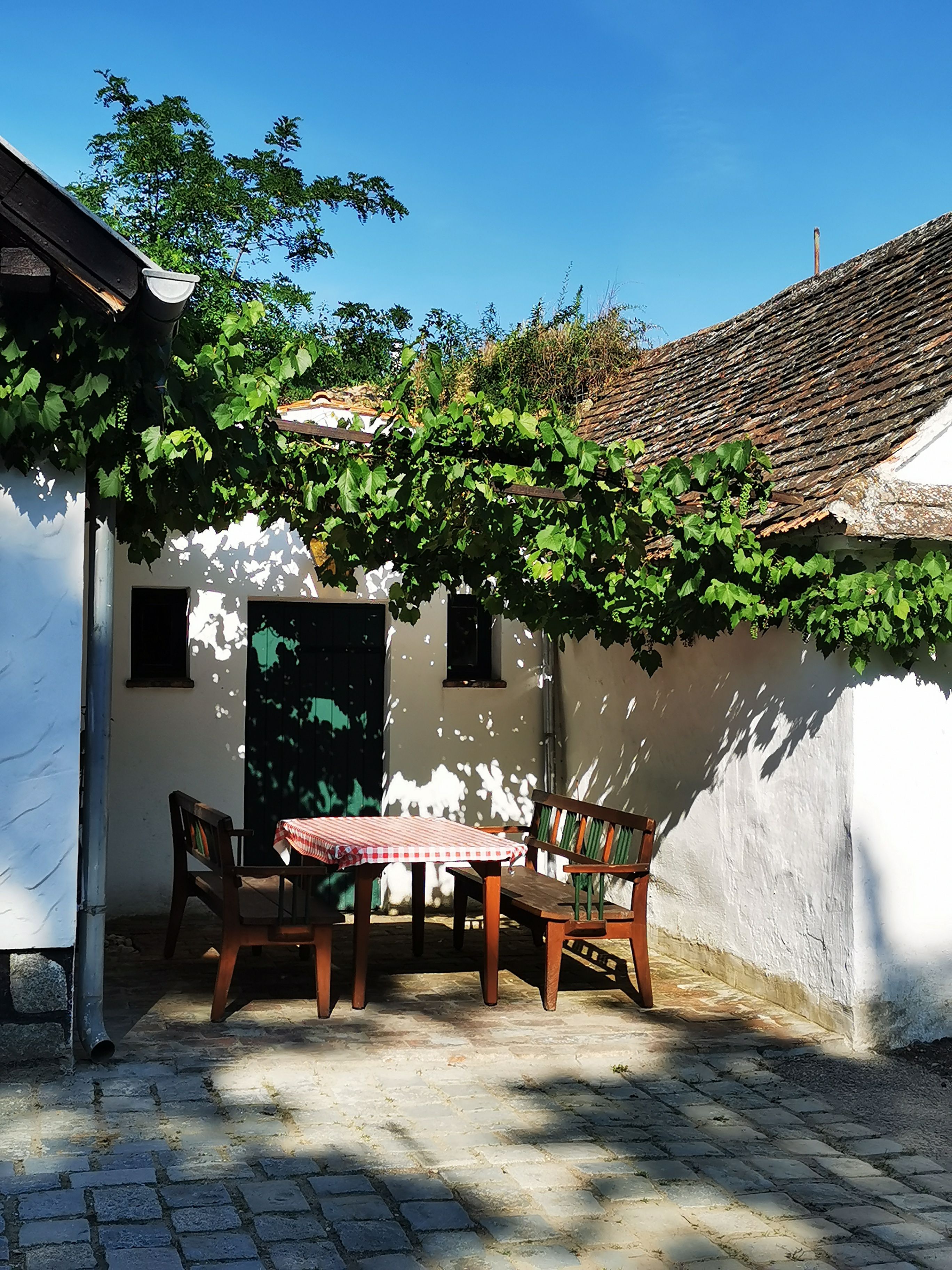 A table with a red and white checked cloth and wooden benches stands in a sunny courtyard with vines and white walls.