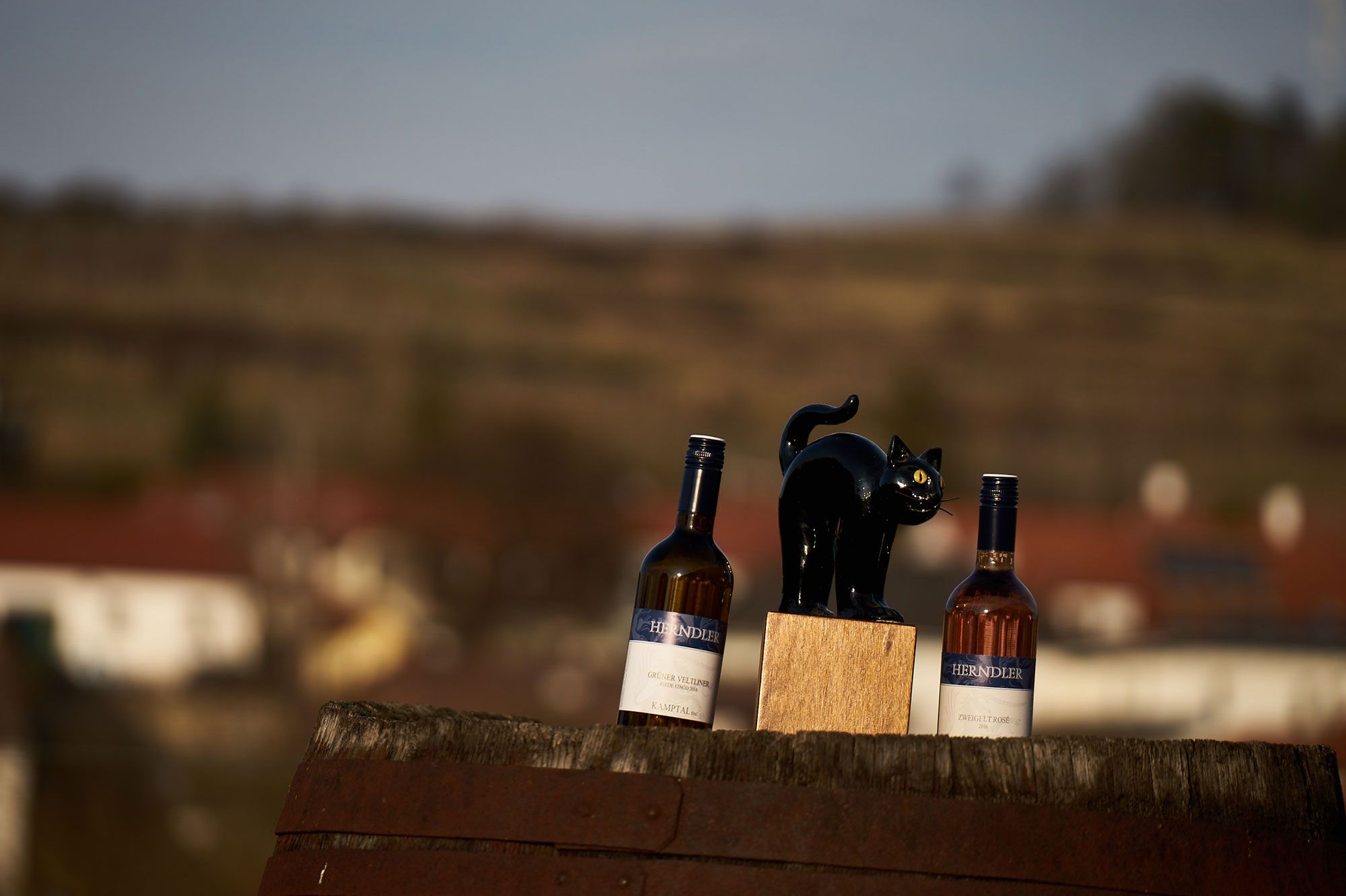 Winery Thomas Herndler