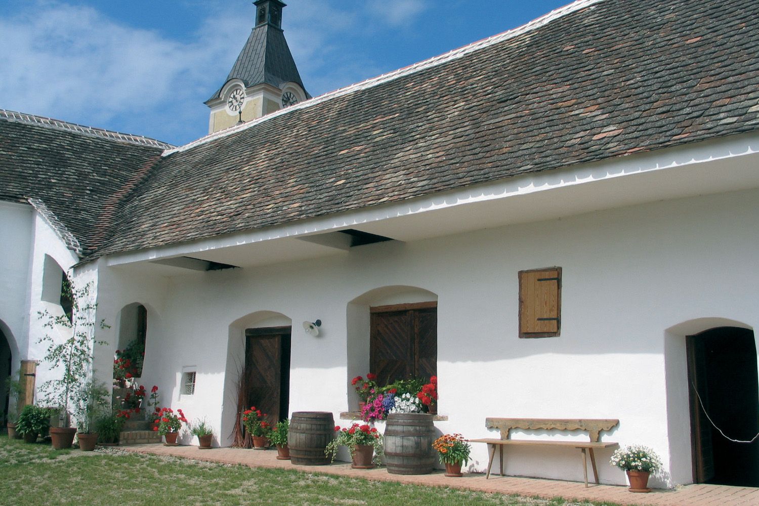Traditional building with white façade, wooden doors and flowers in pots. A tower with a clock in the background.