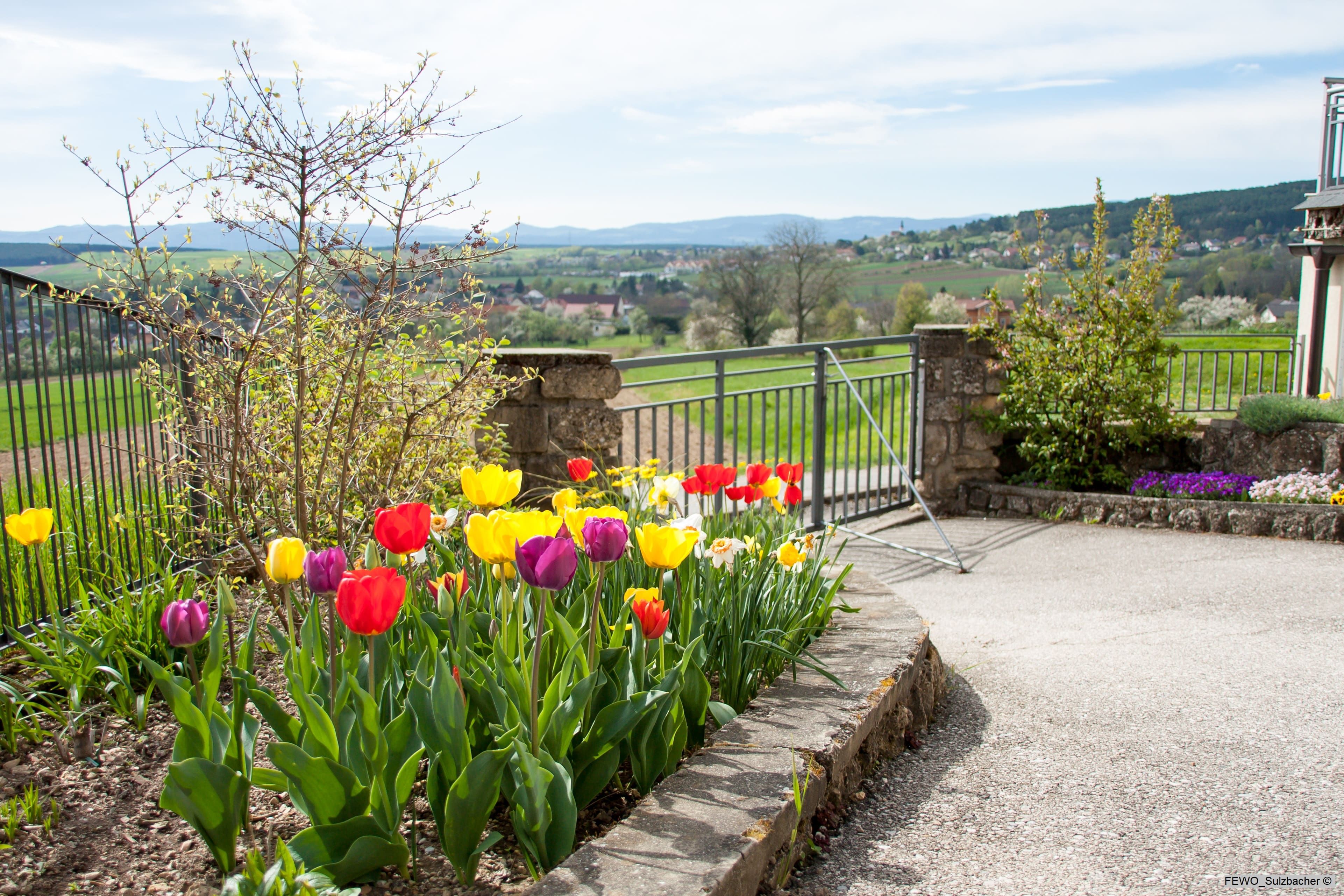 A garden with colorful tulips and a view of a rural landscape.