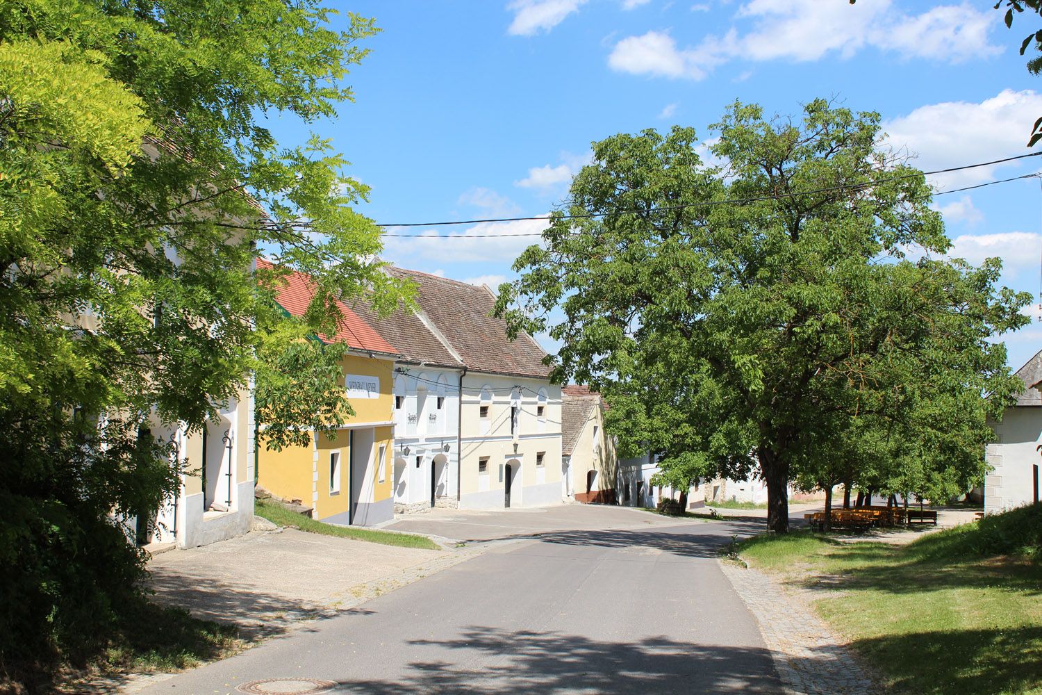 A quiet street in the Straning wine cellar lane with trees and traditional buildings.