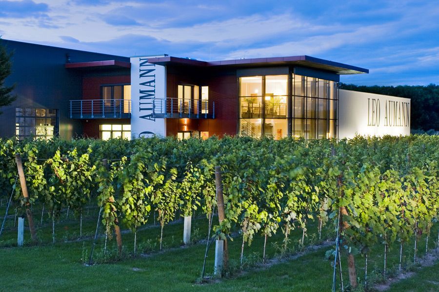 Leo Aumann winery at dusk with illuminated building and vines in the foreground.