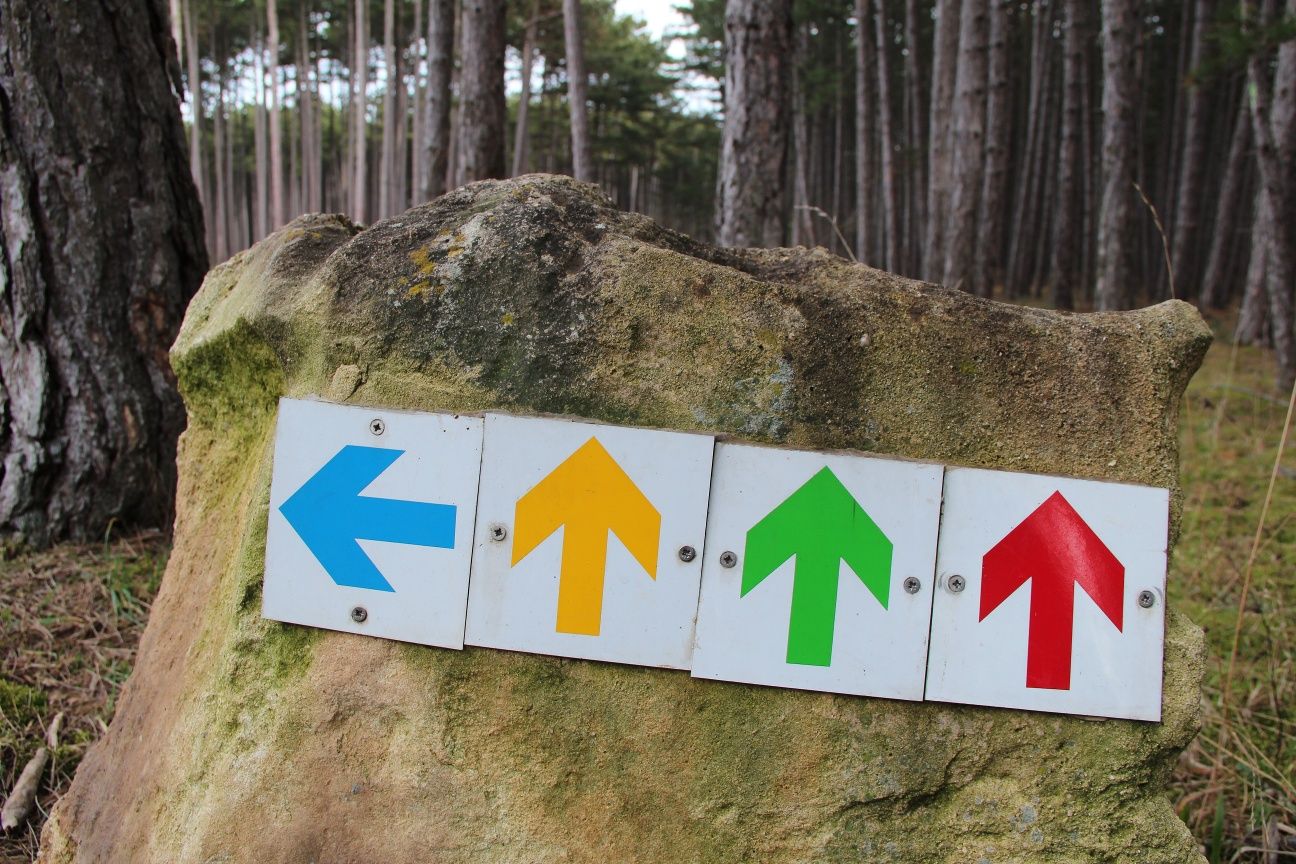 Running course Föhrenwald Orientation arrows