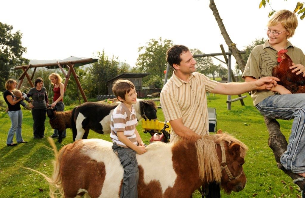 People and animals on a farm, children riding ponies, a boy holding a rooster.
